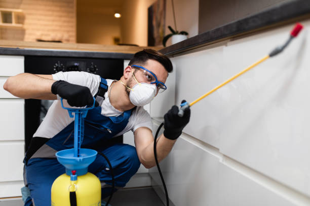 Best Ant Control Services  in Shaw Heights, CO