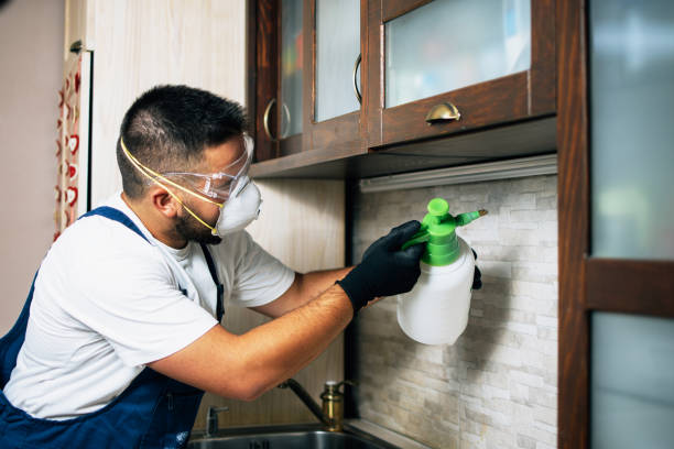 Flea Control Services in Shaw Heights, CO