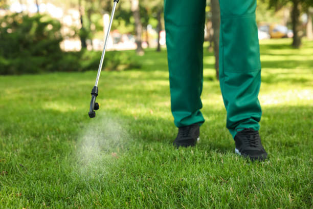 Best Bed Bug Extermination  in Shaw Heights, CO