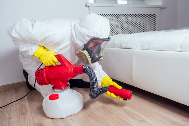 Best Emergency Pest Control  in Shaw Heights, CO