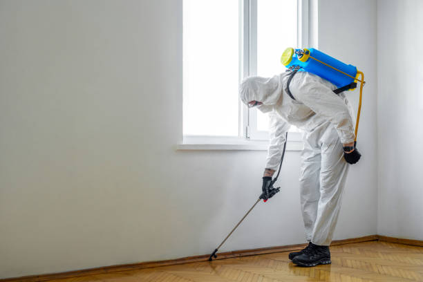 Best Pest Inspection Near Me  in Shaw Heights, CO