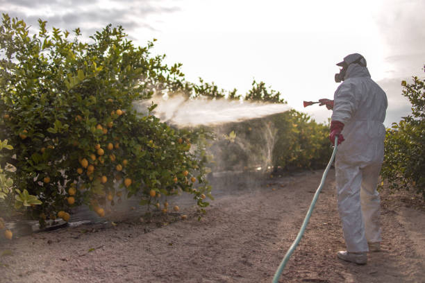 Best Best Pest Control Companies  in Shaw Heights, CO