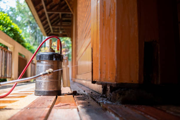 Best Termite Control Services  in Shaw Heights, CO