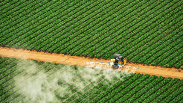 Best Commercial Pest Control Services  in Shaw Heights, CO