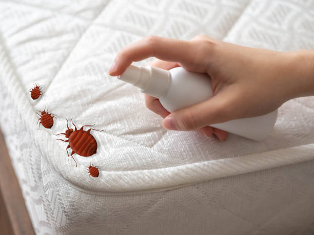Best Pest Control Near Me  in Shaw Heights, CO