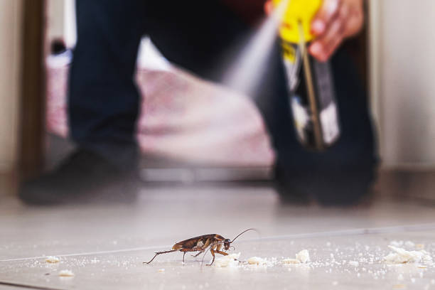 Best Commercial Pest Control Services  in Shaw Heights, CO